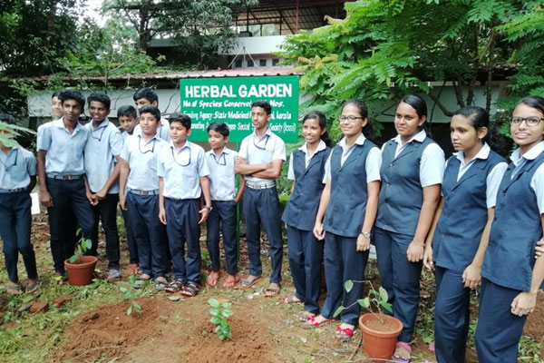 KSSS – School Herbal Garden Project